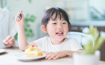 Healthy Lunchbox Ideas That Kids Actually Love